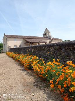 97720F4B-EA9F-4502-95A6-0F52CDA33304.jpeg 97720F4B-EA9F-4502-95A6-0F52CDA33304.jpeg