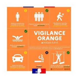 ORANGE.jpeg