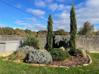 plantation cimetiere.jpeg plantation cimetiere.jpeg